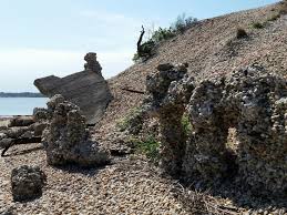 We did not find results for: Pirate S Cove Port Jefferson Ny Time Flies And So Should You