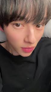 Bibi Scot and Zelda Paroles En Français