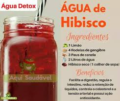Canela E Gengibre Para Que Serve Agua De Hibisco Agua Detox Receitas Detox Naturais