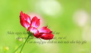Ngày quốc tế hạnh phúc hay là ngày hạnh phúc (international day of happiness) là ngày 20 tháng 3 hàng năm, kể từ năm 2013. Sms Tin Nháº¯n Chuc Má»«ng Ngay Quá»'c Táº¿ Háº¡nh Phuc Hay Va Y NghÄ©a Nháº¥t