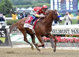 It S Not So Much That Justify Scat Daddy Won The Triple Crown Yesterday In The Gi Belmont Stakes At Belmont Park It Triple Crown Horses Triple Crown Winners