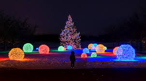Types Of Commercial Properties Fleming S Holiday Lighting In 2020 Best Christmas Lights Christmas Photography Outdoor Christmas Tree