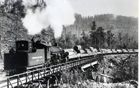Here Is A Fantastic Action Shot Of One Of Weyerhaeuser S Big 2 8 8 2 Articulated Logging Mallets Number 200 Hauling A Forest Pictures Railroad History Train