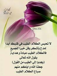 عبارات عن التسامح قصيرة