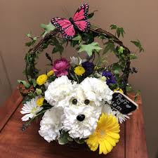Check spelling or type a new query. Tijuana Bc Bcn Flower Shop Gift Cards Page 9 Of 18 Giftly