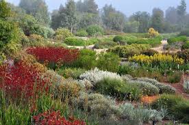 The Australian Garden By Taylor Cullity Lethlean And Paul Thompson Landscape Architecture Pl In 2020 Landscape Architecture Degree Australian Garden Landscape Design