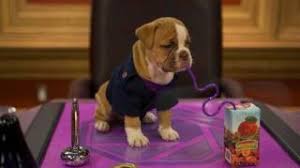 And then they were puppies/a case of the sillies bbc world news outside source bbc world news outside source weather world 15 mins (2020) weather world 15 mins (2020). Catch Up On Odd Squad Season 2 Episode 7 And Then They Were Puppies A Case Of The Sillies Tvcatchupaustralia Com