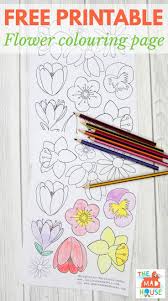 Free Flower Colouring Page For Adults In 2020 Flower Coloring Pages Coloring Pages Adult Coloring Pages