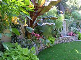 Maybe you would like to learn more about one of these? Raised Garden Beds Sloped Garden Sloping Garden Ideas Garden Bali
