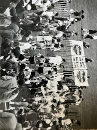 Image result for Primula 1982 Fleet