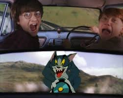 Is This A Butterfly Meme Template Meme Templates