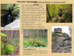 проект по окружающему миру 3 класс разнообразие природы родного края Soverthrit Proekt Raznoobrazie Prirody Rodnogo Kraya 3 Klass Obrazec