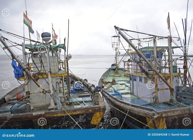 Old Traditional Fishing Wooden Boats in the Sea , Mumbai Stock Photo - Image of fishing, dock: 250569248