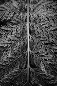 Pin On Original Photography