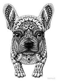 1024 x 1024 jpg pixel. 28 Ideeen Over Mandala Hond Mandala Kleurplaten Kleurplaten Voor Volwassenen