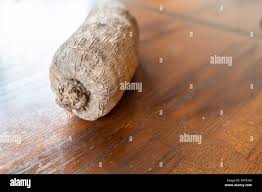 Image result for Dioscorea cayenensis