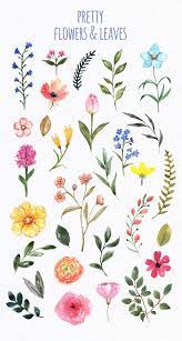 Watercolor Wildflowers Clip Art Spring Cute Floral Clipart Botanical Flowers Summer Wild Flowers Leaves Png Printable Illustration Garden Cute Flower Drawing Flower Drawing Watercolor Flowers Paintings