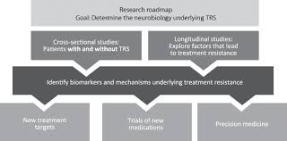 Assertive community treatment (act) is designed especially for individuals with schizophrenia who are at risk for repeated hospitalizations or homelessness. The Neurobiology Of Treatment Resistant Schizophrenia Paths To Antipsychotic Resistance And A Roadmap For Future Research Npj Schizophrenia