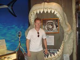 Check spelling or type a new query. Rodney Fox Shark Experience Mojo Travel