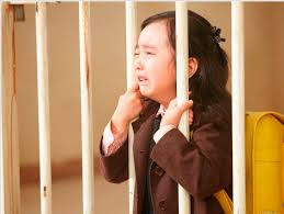 Hasil gambar untuk miracle in cell no 7