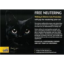She is now 15 years old. Free Neutering