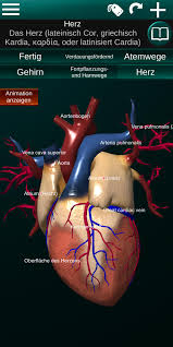 Weitere ideen zu anatomie organe, anatomie, krankheit. Inneren Organe 3d Anatomie Fur Android Apk Herunterladen
