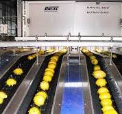 Lemon Sorting, Grading, Processing Machines and Lines