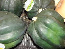 We did not find results for: Acorn Squash Wikipedia