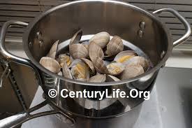 The paderno world cuisine 15 7/8 bamboo steamer set includes 2 dishes and a cover. How To Choose A Steamer For Steaming Vegetables Fish Meatballs And More