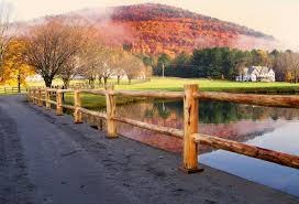 Doing business as:adirondack fence and rail co. Woodlot Woodworks L L C Fine Adirondack Woodwork Adirondack New York