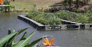 13 effective plant based grey water systems page 13 of 15 grey water system pond construction floating garden