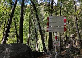Scendendo verso il fondovalle percorre due valli sospese, ambedue di origine glaciale, l. Cascate Acquafraggia E Rifugio Savogno Con Bambini Viaggi Dei Rospi