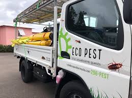 Bed bug pest control in alabama. Bermuda Eco Pest Bermuda Pest Control Yabsta