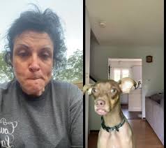 #duet with @mitchapalooza #dayo