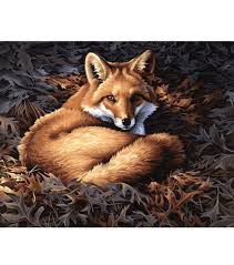 Dimensions Paint By Number Kit Sunlit Fox Jo Ann Fox Painting Paint By Number Kits Fox Art