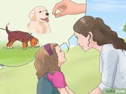 Jul 16, 2021 · hint for kids: How To Convince Your Parents To Buy You A Second Dog 13 Steps