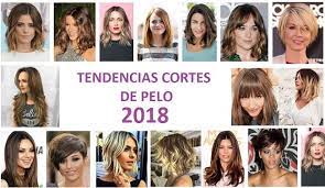 We did not find results for: Peinados Y Cortes De Pelo Para 2018 Nuevas Tendencias Y Looks