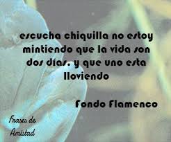 Las madres que escuchan música durante el embarazo están comunicándose con su. Frases De Canciones De Fondo Flamenco De Fondo Flamenco Frases De Amistad Frases De Amistad Biblicas Frases De Canciones
