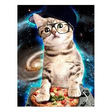 Dj Cat Space Cat Cat Pizza Cute Cats Postcard Zazzle Com Space Cat Cat Posters Cute Cats