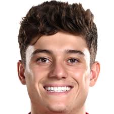 Daniel's passion for soccer caught the attention of hull. Daniel James Football Wiki Fandom