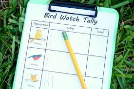 Bird Theme Preschool Activities Fantastic Fun Learning
