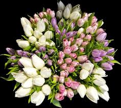 21 high quality bunch flowers images free in different resolutions. Flower Bouquets Pictures Free Stock Photos Download 10 875 Free Stock Photos For Commercial Use Format Hd High Resolution Jpg Images