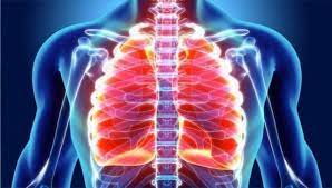 Tokiyo drift indir, tokiyo drift videoları 3gp, mp4, flv mp3 gibi indirebilir ve indirmeden izleye ve dinleye bilirsiniz Corona Virusu Belirtileri Gun Gun Burada Koronavirus Ilk Belirtileri Nelerdir Saglik Haberleri