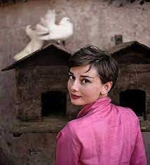 Pixie Schnitt Audrey Hepburn Audrey Hepburn Pixie Schnitt Pixie Haarschnitt Audrey Hepburn Pixie Frisur Audrey Hepburn