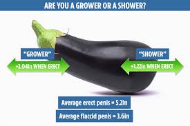 Men Really Are Growers Or Showers New Scientific Study Defines Which Camp You Re In