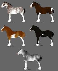 Oooo I Love These Colors Horse Coloring Clydesdale Horses Horse Markings