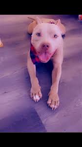 Adopting a big boy was one of the best days of my life