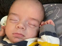 Fundraiser for Marissa Sullivan by Ally Sullivan : Help Risa and Steven  after their unexpected loss