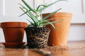 The key to properly drill drainage holes is using the correct drill bit. How To Keep Flower Pots With Drainage Holes From Making A Mess