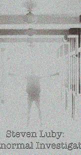 Steven Luby: Paranormal Investigator (2017)